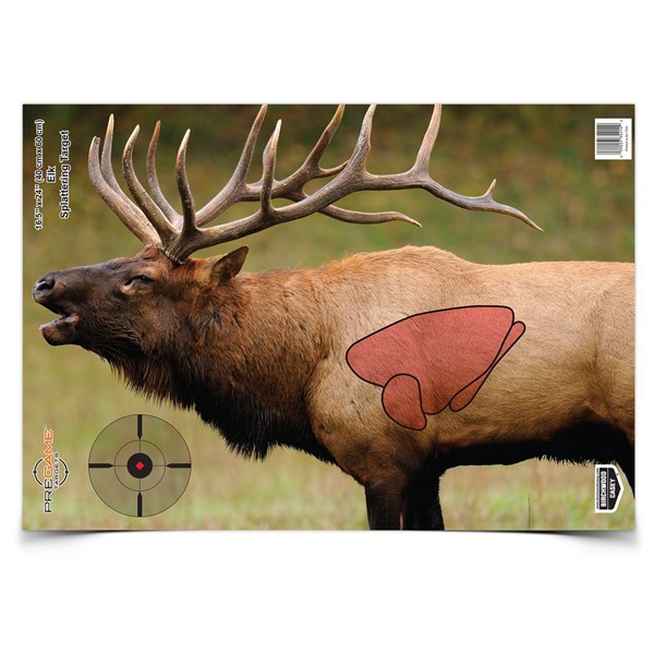 BC 35404 PREGAME ELK TGT 3 - Taurus Savings